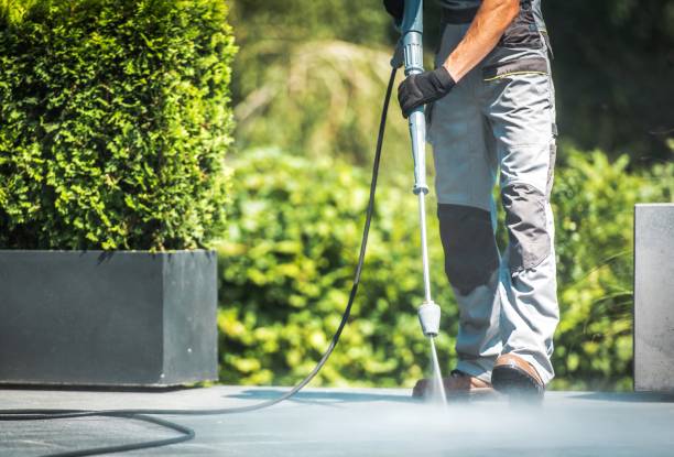 Best Driveway Pressure Washing  in Belleair Bluffs, FL