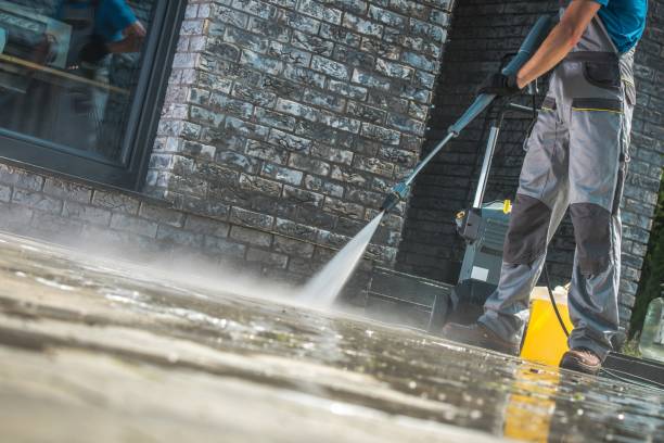 Animal Enclosure Cleaning in Belleair Bluffs, FL