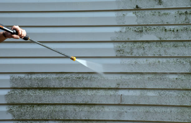 Best Dumpster Area Cleaning  in Belleair Bluffs, FL